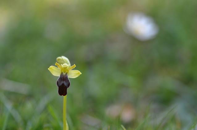 Itzultzeak 2 1619015038674