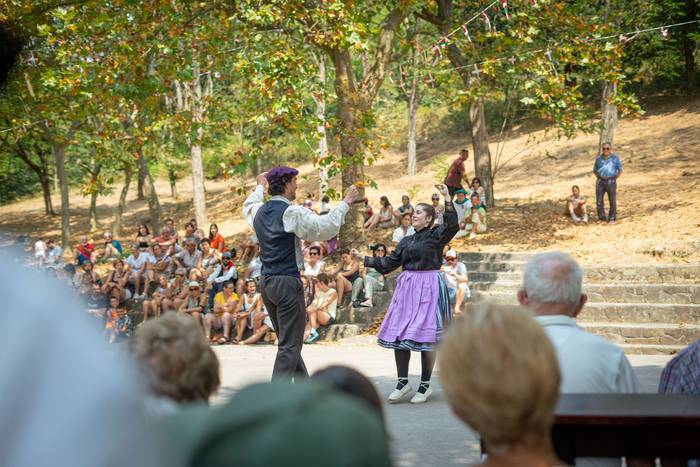 San Rokeko zelaiak bilakatu  65 1755350554907