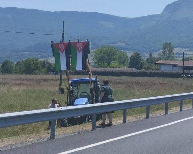 Palestinaren aldeko aldarria 6 1754583133401