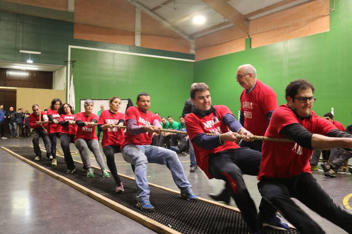 Andra Mari garaile kaleen ar 33 1515361245796