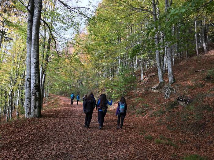 Iratiko basoan egon da asteb 2 1509432744408