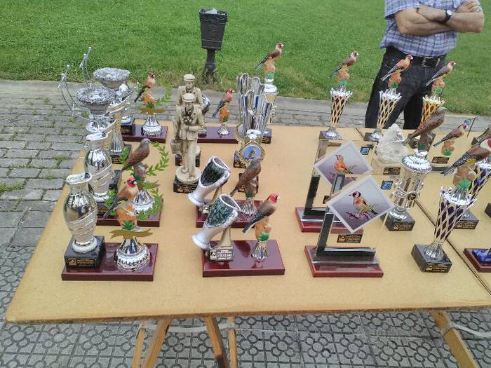 Sari ugari banatu dituzte Tx 16 1497291411282