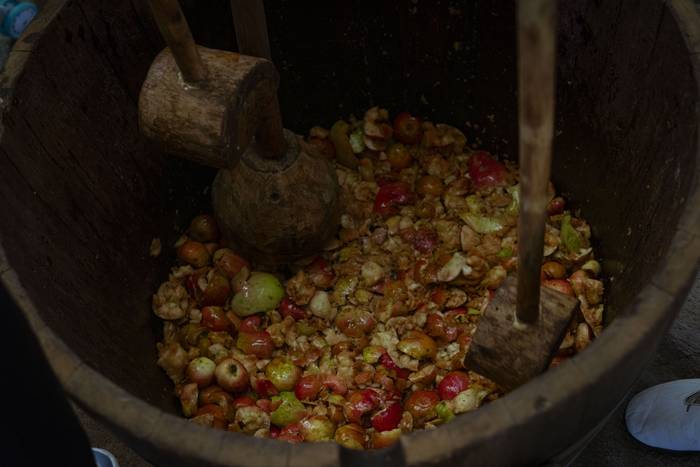 Sagarraren tradizioa plazara 3 1759588475984