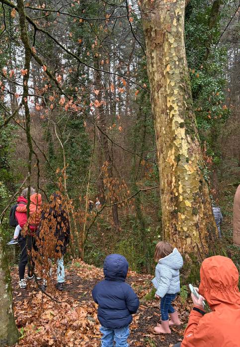 Olentzero eta Mari Domingi L 7 1766335817558