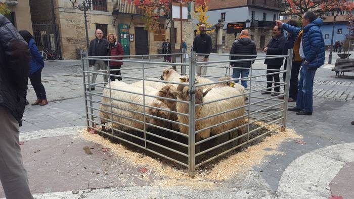 Landa mundua herrigunera jai 5 1510425293511