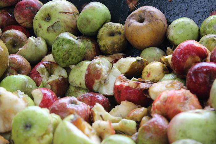 Laudioko Sagar Eguna 34 1509299996614