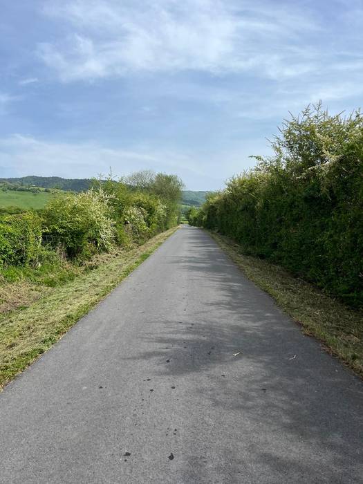 Urteko lehen garbiketa lanak landa-bideetan: udaberriko sastraka-garbiketa martxan