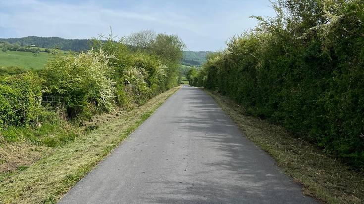 Urteko lehen garbiketa lanak landa-bideetan: udaberriko sastraka-garbiketa martxan