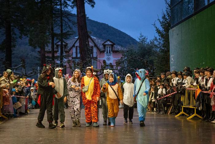 Carnesto oilarraren konpaini 21 1771098600786