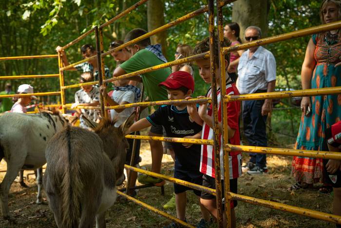 San Rokeko zelaiak bilakatu  24 1755350475860