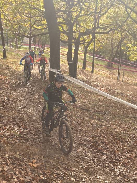 Ellakuri zirkuitu labainkorr 98 1763998079573