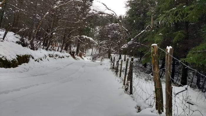 Gorbeialdea eta Orozko, elurtuta