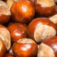 Magosto jaia: igandea