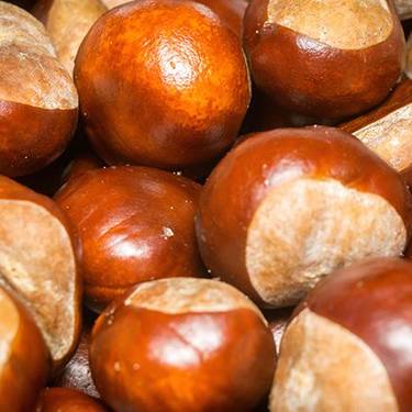 Magosto jaia: igandea