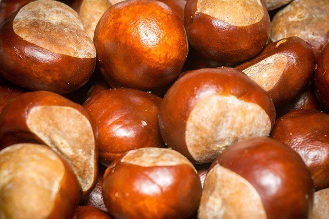 Magosto jaia: igandea