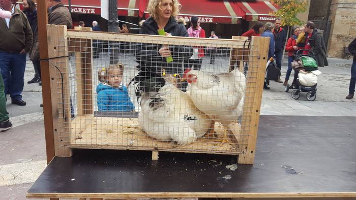 Landa mundua herrigunera jai 1 1510425267819