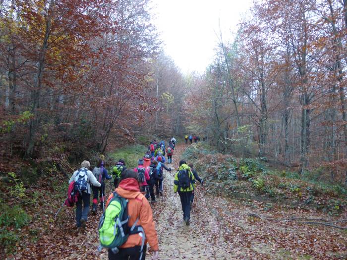 Laino artetik Santa Elena me 7 1511892494918