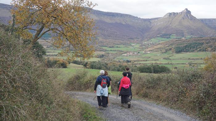 Omenaldiek bereziki hunkigar 67 1765403022321