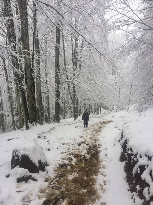 Elurtuta topatu zuen Matxink 14 1521550053255