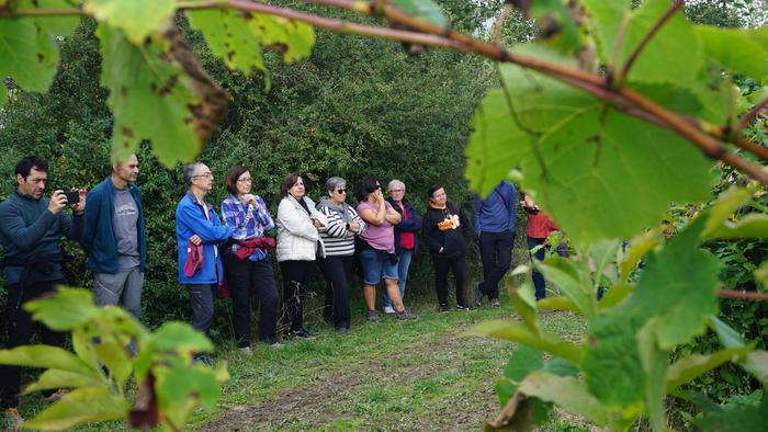 Txakolina Urduñan 3 1759234523975