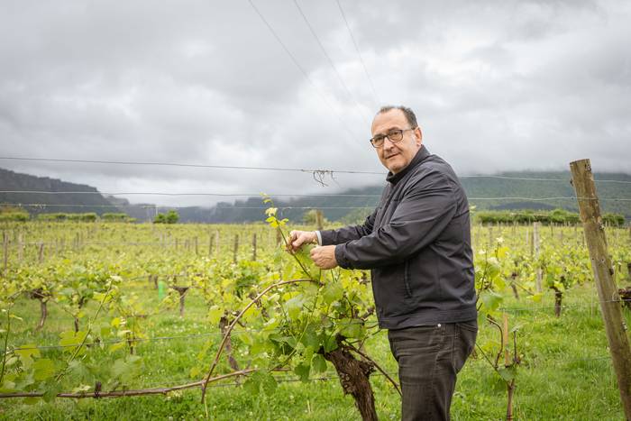 “Nazioarteko merkatuetan gure presentzia aldarrikatu nahi badugu, urtez urte gauzak hobeto egin behar ditugu”