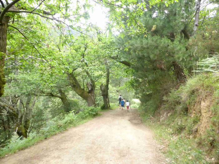 Astelehenerarte luzatu ziren 3 1496393871049