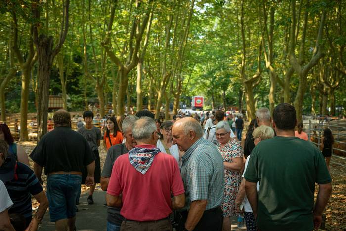 San Rokeko zelaiak bilakatu  26 1755350479631