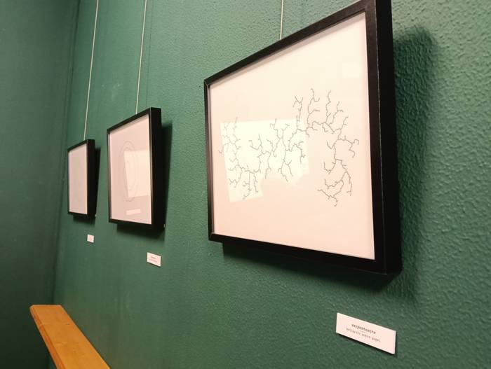 David Hoskingen erakusketati 13 1763920377723