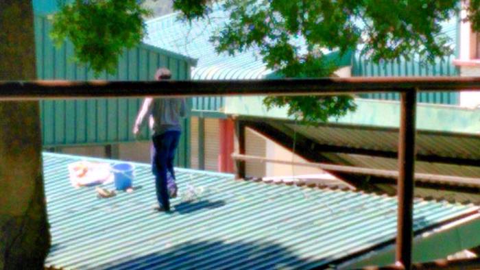 [KOMUNITATEA] Amiantoa Latio 4 1500981006928