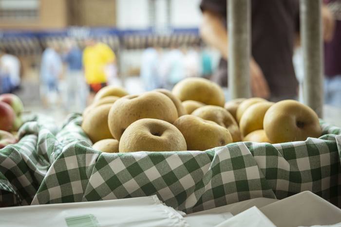 Sagarraren tradizioa plazara 17 1759588499053