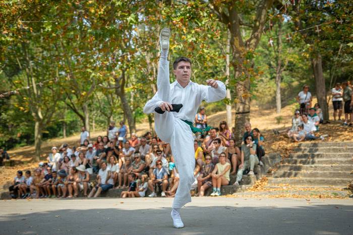 San Rokeko zelaiak bilakatu  54 1755350534951