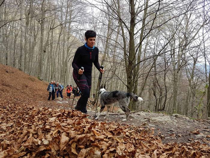 Gaur emango dute Tologorrin  8 1484238234464