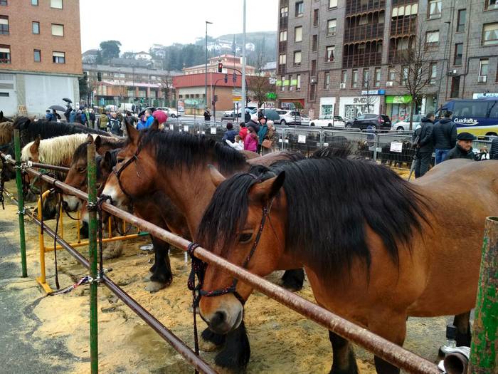 Ehunka lagunek berotu dute D 23 1521814074414