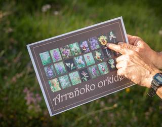 Laudiok orkidea basatiak balioan jarriko ditu berriro jarduera berriekin