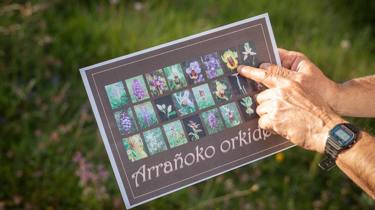 Laudiok orkidea basatiak balioan jarriko ditu berriro jarduera berriekin