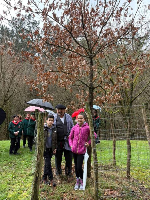 Gernikako zuhaitzaren kimua  10 1770844171489