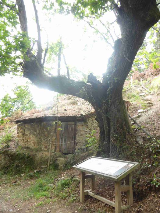 Astelehenerarte luzatu ziren 29 1496394127001