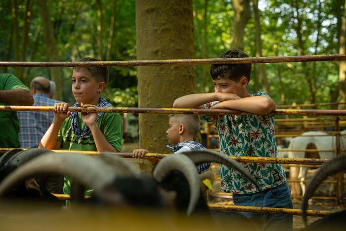 San Rokeko zelaiak bilakatu  2 1755350419870