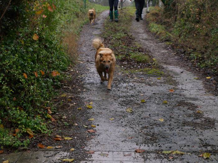 Eguraldi petralak ez zuen ik 15 1513166483910