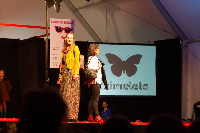 Laudioarrak izan ziren model 173 1508743675412