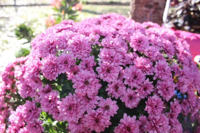 ARGAZKIEKIN JOLASEAN 16 1510133614798