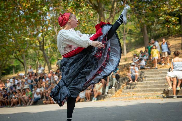 San Rokeko zelaiak bilakatu  47 1755350518080