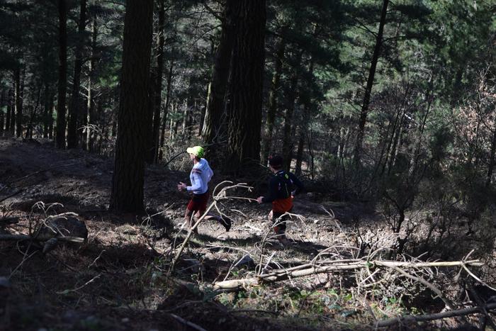 Eskualdeko hainbat lasterkar 102 1520327015391