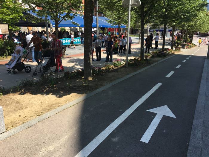 Amurrioko herri kontsulta