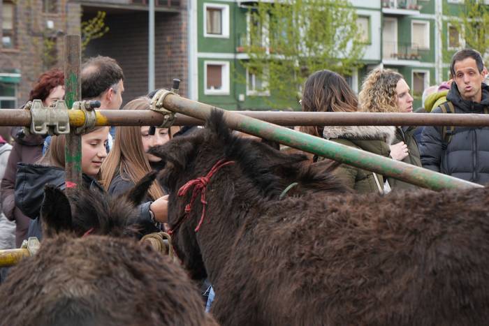 Euriak ez du zapuztu Dolumin 19 1774623111348