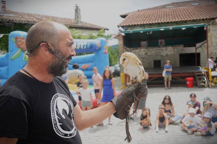 Falkoneria ikuskizuna antola 22 1752934002689