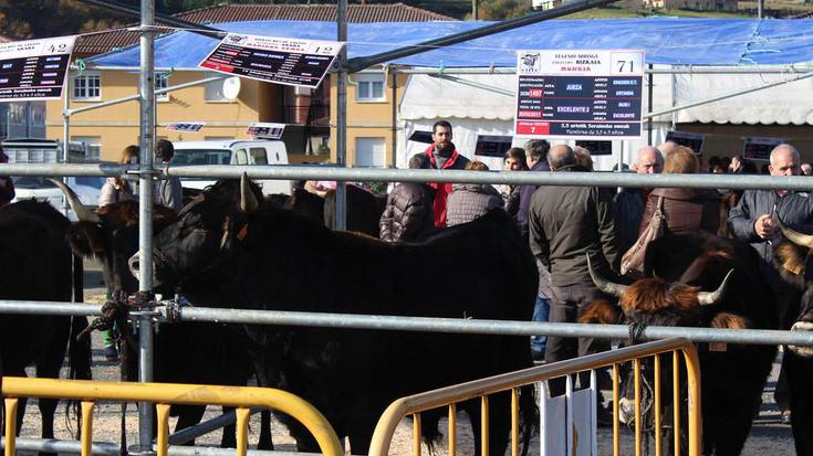 Gorbeiako ekoizleak elkartuko dira bihar Orozkon