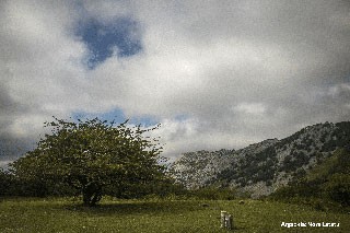 Nora Latatuk irabazi du "Orozko Klik" argazki lehiaketa