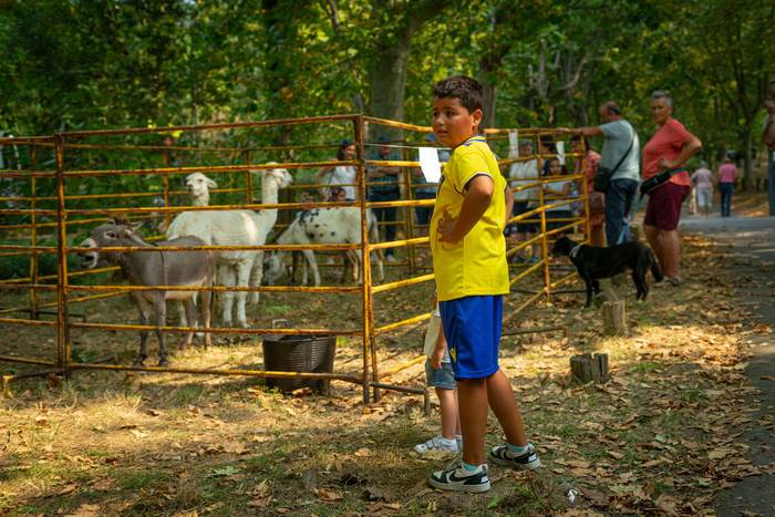 San Rokeko zelaiak bilakatu  6 1755350433645