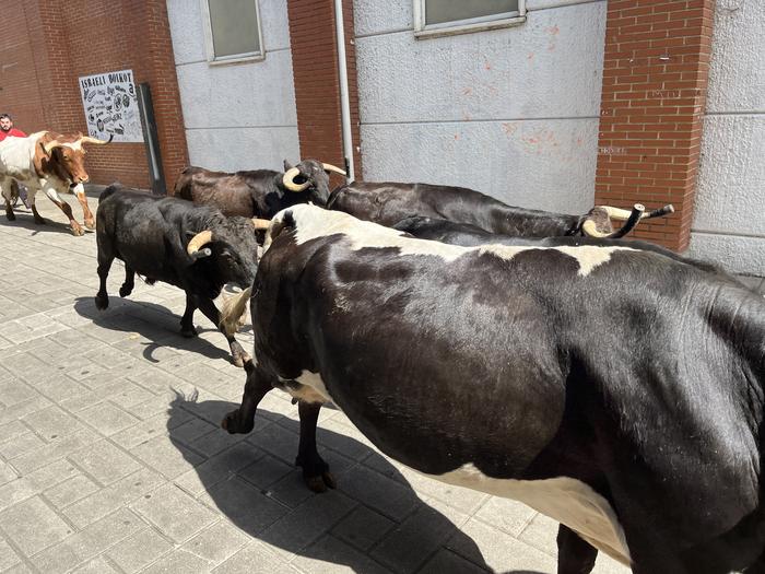 Kultura eta kale jarduera ug 20 1756587795685